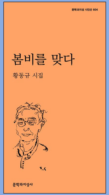 봄비를 맞다:황동규 시집, 황동규 저, 문학과지성사