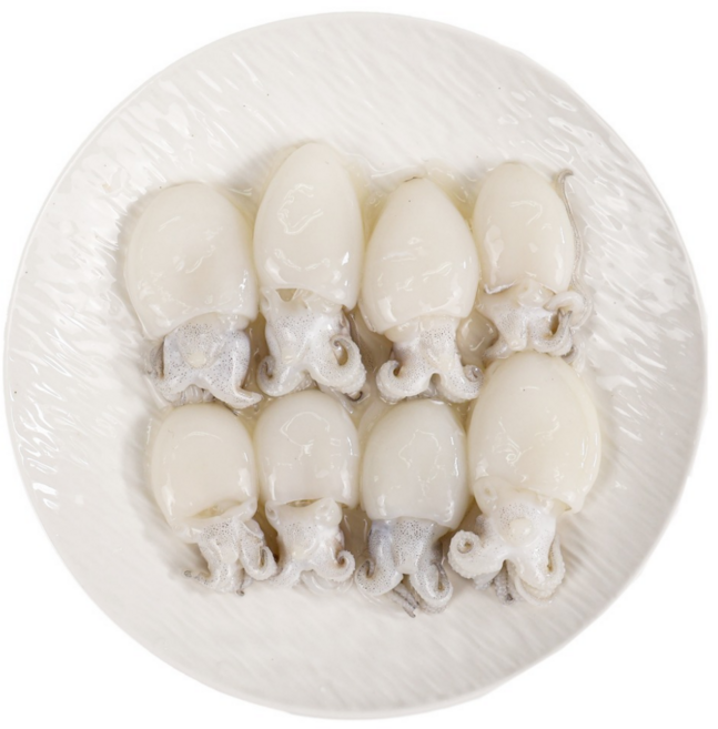 미니 갑오징어 손질 베이비이까 2.16kg, 1개, 미니갑오징어(180gX12팩) 20/40