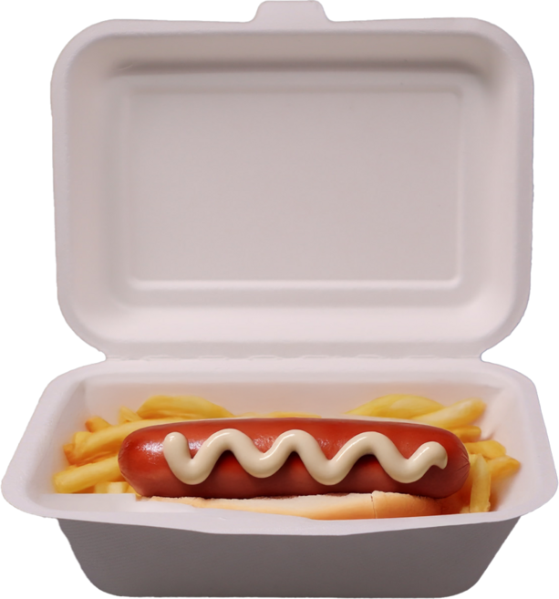 유즈잇 직사각 B001W 일회용 펄프 포장 박스 용기, 50개, 1개