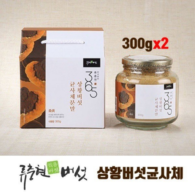 목질진흙 상황 버섯 분말 가루 균사체 100% 국산 뽕나무 상황버섯추출물 자연산 상황버섯 균주 베타글루칸 펠리누스린테우스 첨가물없는 류충현약용버섯 면역 효능 선물세트 추천, 300g, 1개