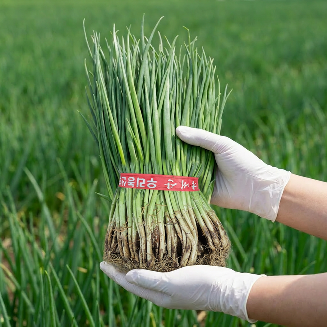 신선한삼촌 국산 손질 흙쪽파 1단 잔파, 1개, 1kg