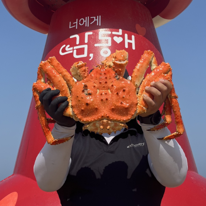 산지직송 최상급 러시아 자숙 레드킹크랩 3kg 3.5kg 4kg, 99박스, 3.5kg 내외 (1미)
