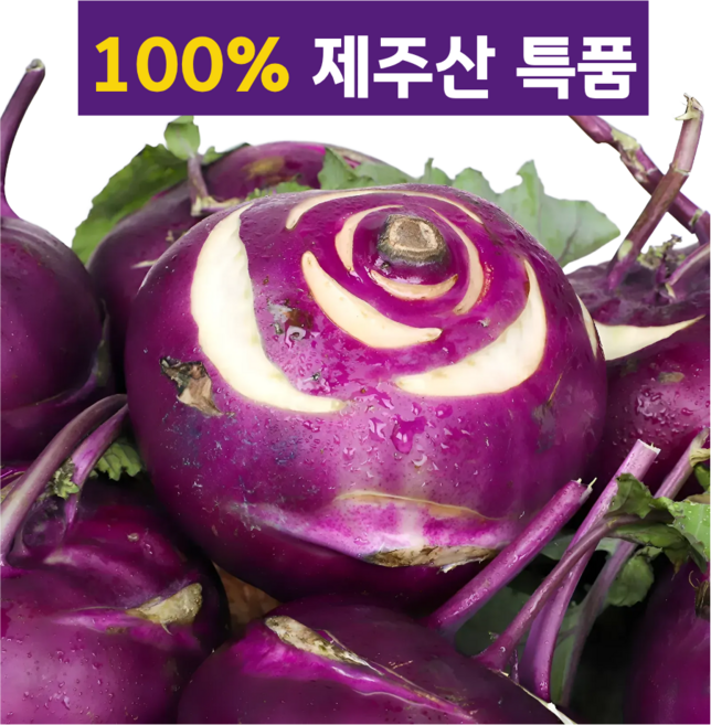 [산지직송특품] 유유팜 제주 콜라비 대과 특품, 1세트, 3kg