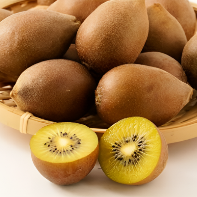 [정씨네] 국내산 산지직송 제철 정품 고당도 골드 키위, 1박스, 5kg(중과)