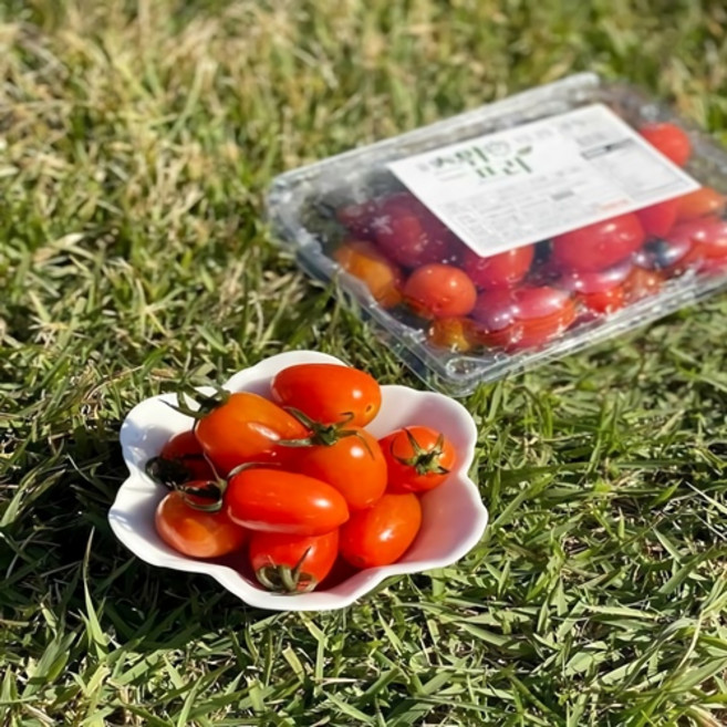 스테비아 방울토마토 토망고 샤인마토 애플 사과 복숭아 대추 토마토 1kg 2kg 스위프리, [사과향] 방울토마토 2kg, 1개