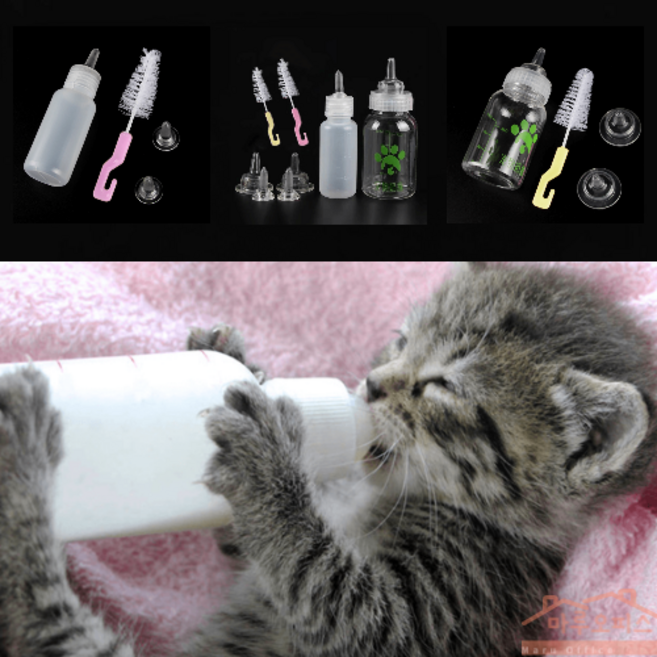 마루오피스_ 어린 반려동물을 위한 초유 분유 급여해주는 애견젖병 우유젖병 강아지젖병 고양이젖병 동물젖병 대형/소형 애완용보틀 세트_ 여분의 젖꼭지와 세척솔 증정, 1세트, 색상랜덤-소형