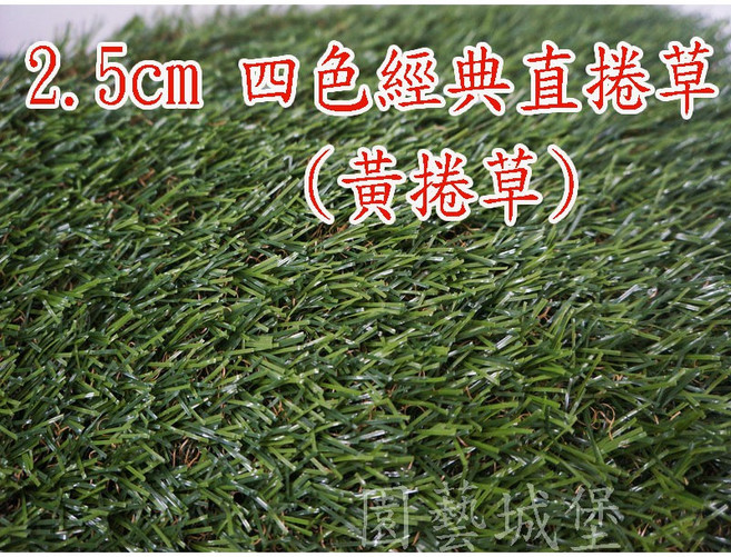 【園藝城堡】人工草皮 草高2.5cm(寬100cm) 經典(黃捲草) 塑膠草皮 仿真草皮, 1個