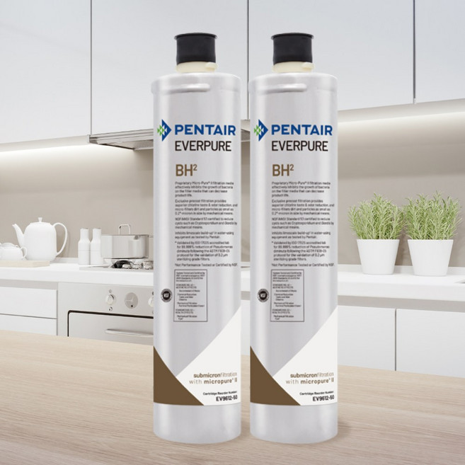 EVERPURE BH-2濾心 美國原裝進口淨水器濾芯 有效去除雜質異味 提升飲水品質, 1個, 2入裝(售出享黑水保固1個月