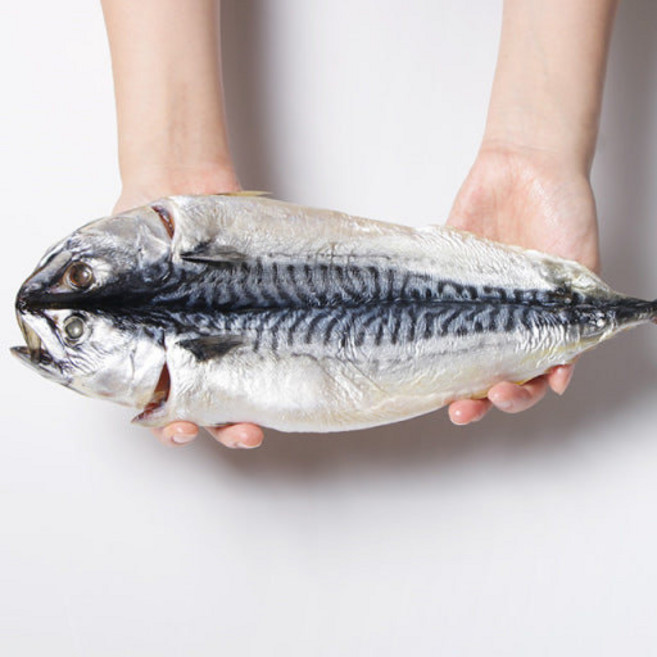 [소비자선호1위] 집밥에 잘 어울리는 국내산 자반 고등어, 1박스, 특대 3미