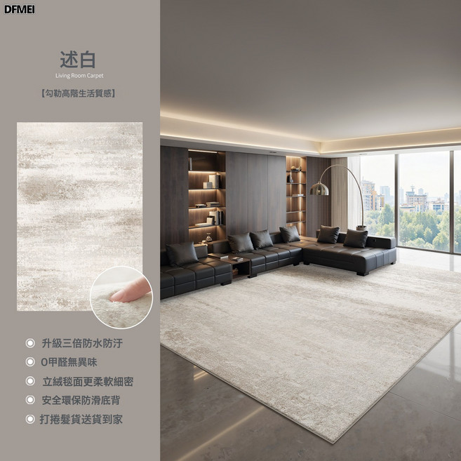 DFMEI 地毯客廳現代簡約風臥室輕奢高級感沙發免洗可擦房間地墊