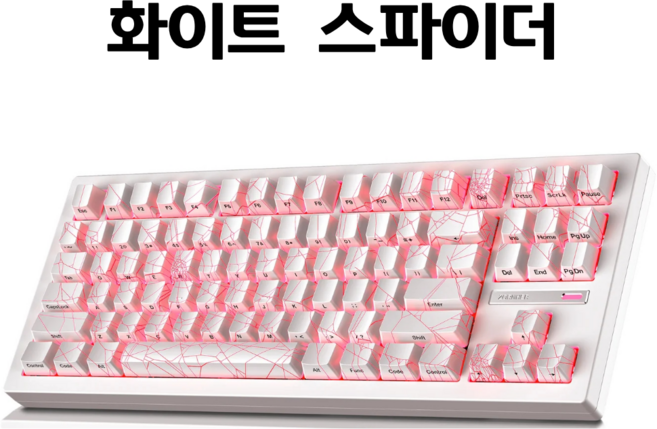 ZH870 컨투어 라인 2.0 3모드 무선 기계식 게이밍 키보드 ZORNHER, 2. 고대차롤러, D. 흰색 흰색 거미줄 3모드