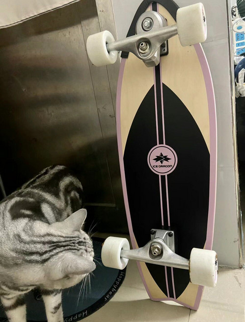 滑板 初學者專業板 大魚板 陸地衝浪板 成年兒童代步刷街 四輪公路滑板車, 如圖所示, 1個