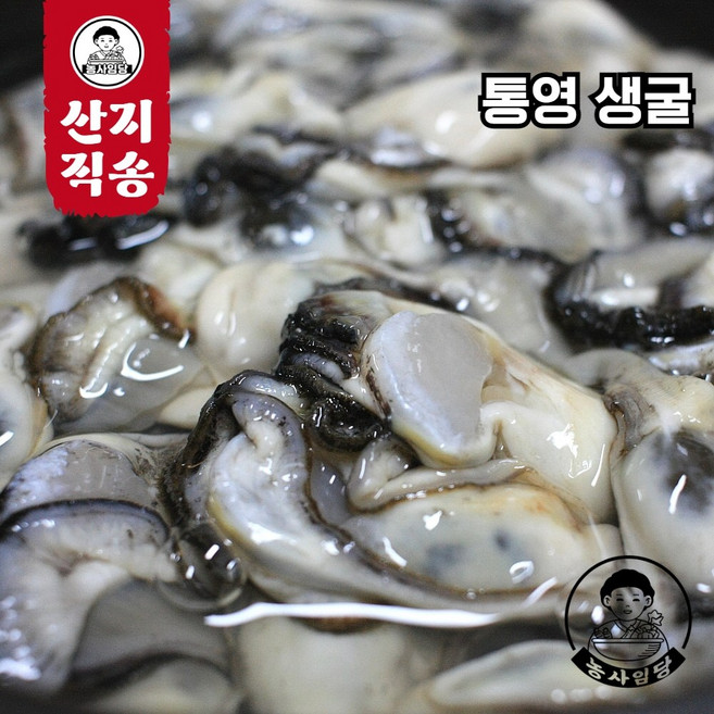 [농사임당] 생굴 통영 남해 산지직송 각굴 깐굴 1kg 2kg 3kg 5kg, 1개