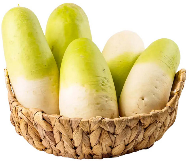 [입점특가] 겨울 달큰한 제주 세척 월동무, 1개, 10kg