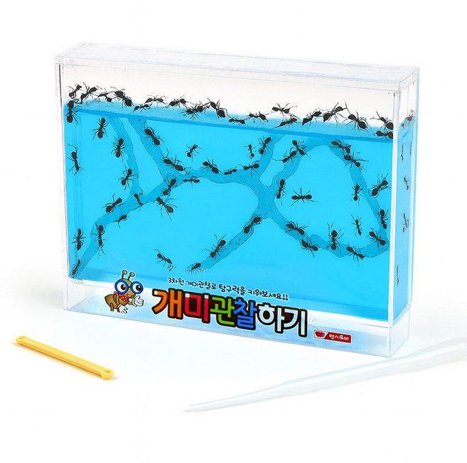 셀 커머스 팬시로비 개미 관찰하기 (대) (블루) (1036) 관찰학습