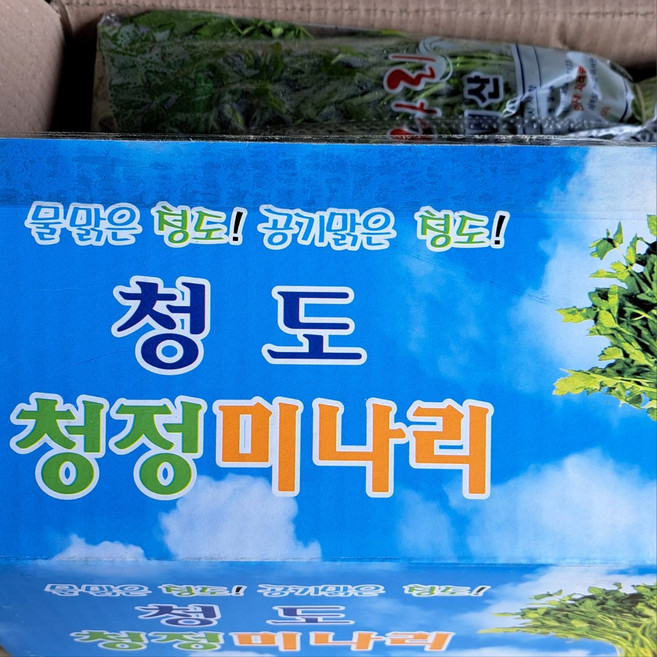 청도 미나리 1kg, 1박스