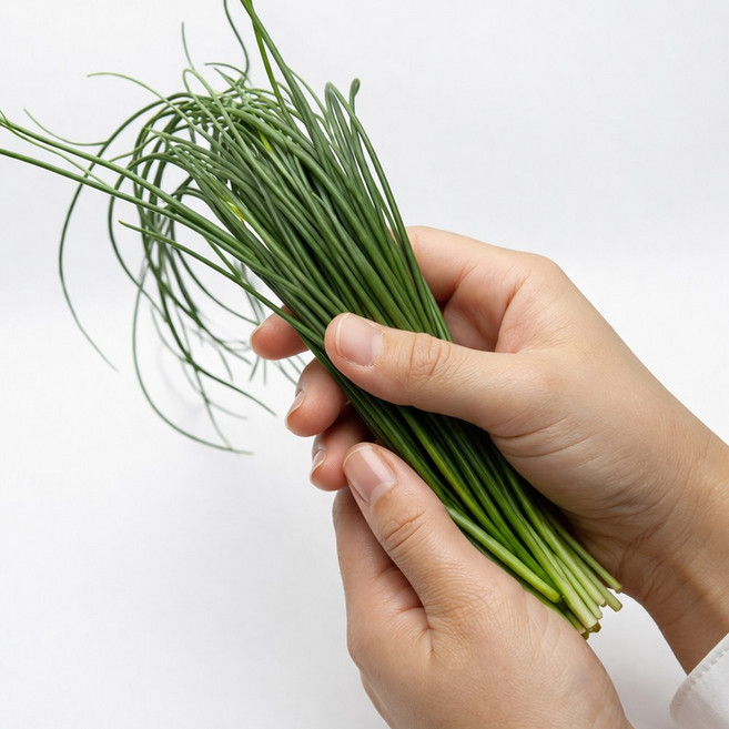 푸레아 국내산 특품 생허브 차이브 100g