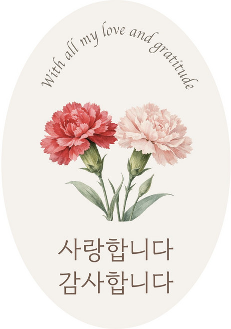 카네이션 감사 포장스티커 원형 하트 타원 정사각 무광아트지, 50개, 혼합색상(타원)