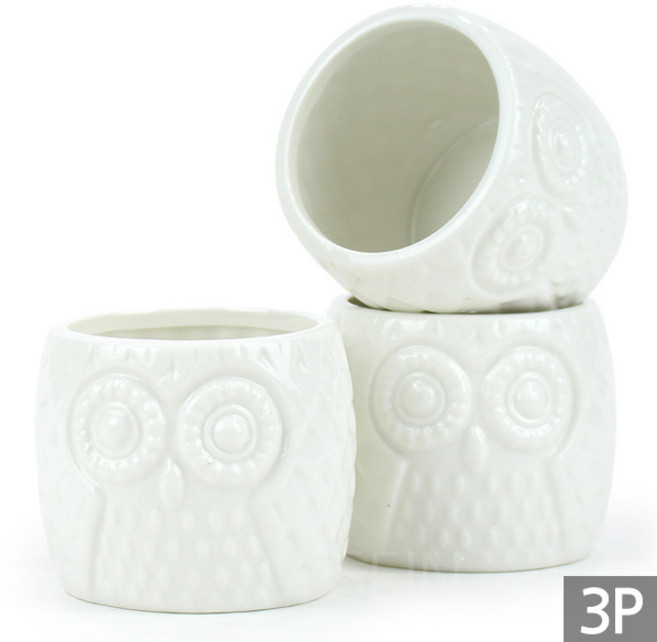 세인화분 백자 도자기 미니 화분 - 다육화분 다육이화분 콩분, 3개, 부엉이 미니백자