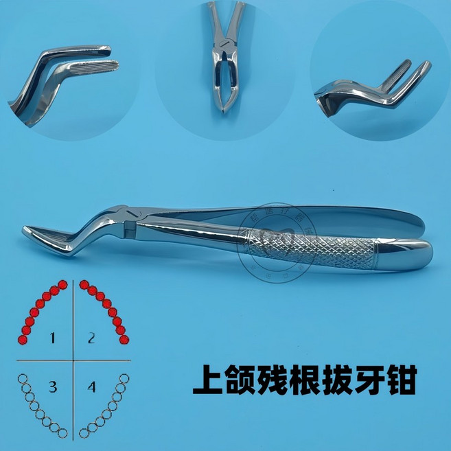 치과용 발치포셉 집게 사랑니 발치겸자 추출 플라이어, 1개, 09.성인 모델 (51)