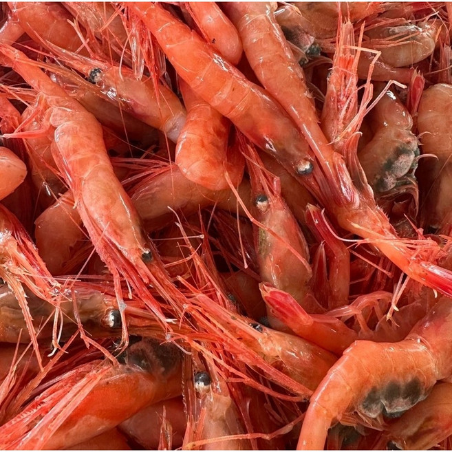 동해안 국산 단새우 아마애비 1kg 홍새우 횟감 초밥용, 1개
