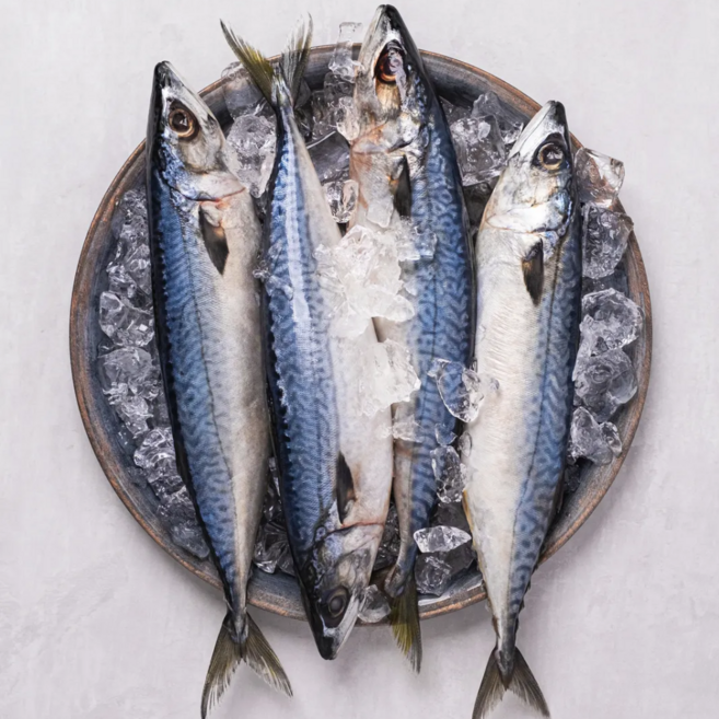 국산 간고등어 손질 자반 참고등어 산지직송, 1개, 자반고등어 중대 10미(2.8kg 내외)