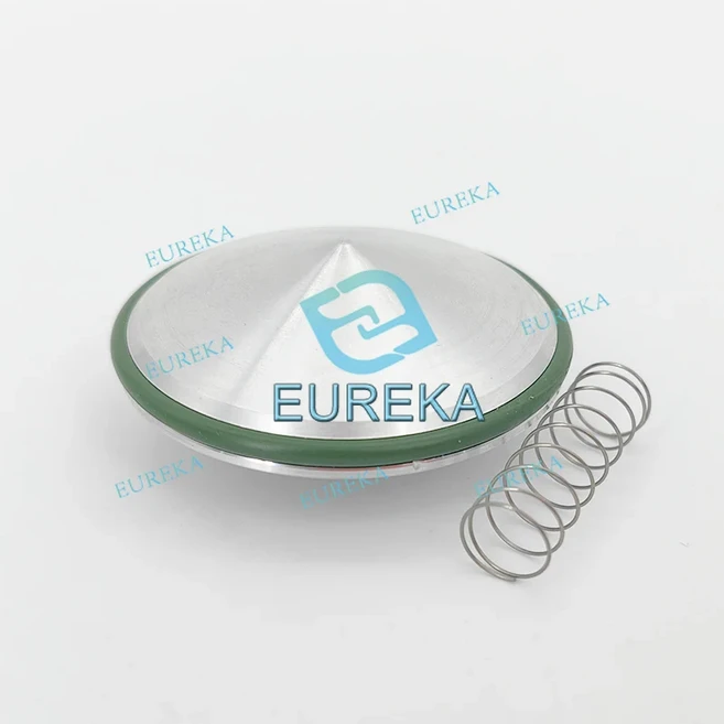 진공 펌프 MS40+ 수리 키트 오버홀 9499203 씰 서비스 유지보수 가스켓 G1960 80040, 01 Check valve