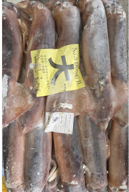 [구포시장 아지매] 식당 업소용 선동 원양 냉동 오징어 M 대 10KG 2025년 제품, 1박스