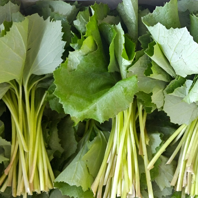 국내산 햇 머위 나물, 1박스, 2kg