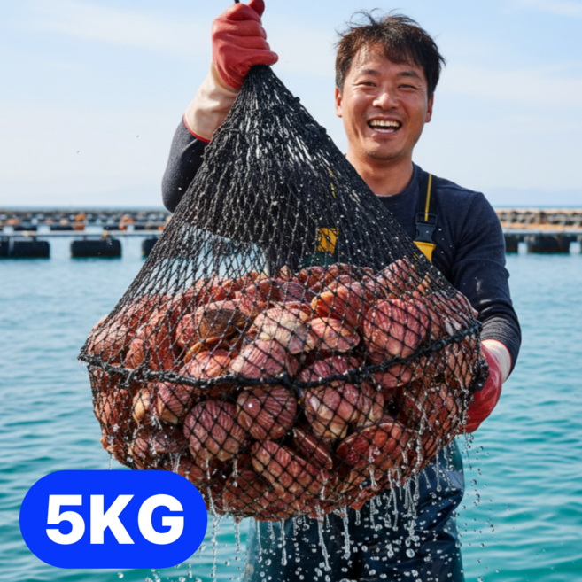 통영 생물 홍가리비 1kg 2kg 3kg 5kg 세척 가리비 제철 손질 조개 구이, 1개