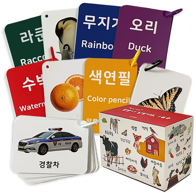 말놀이 실사 낱말카드 160장 한글/영어/의성어/의태어, 혼합색상, 1개