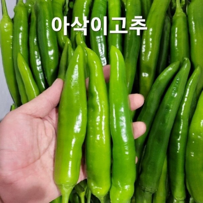 아삭이 오이맛고추 특 5kg 발품장터