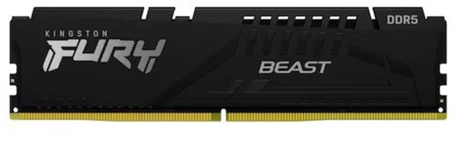 킹스톤 킹스톤 FURY DDR5-5600 CL46 Beast 블랙 (16GB)