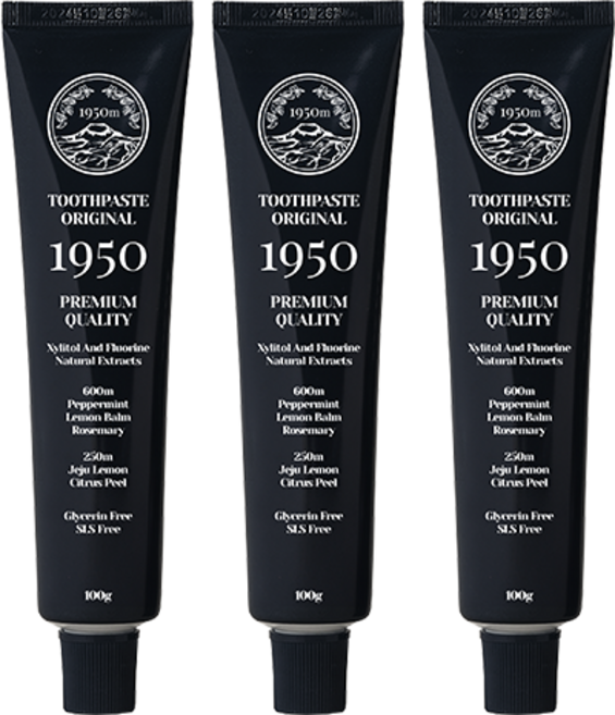 1950 시트러스 블랙 입냄새 구취 제거 고불소 치약, 3개, 100g