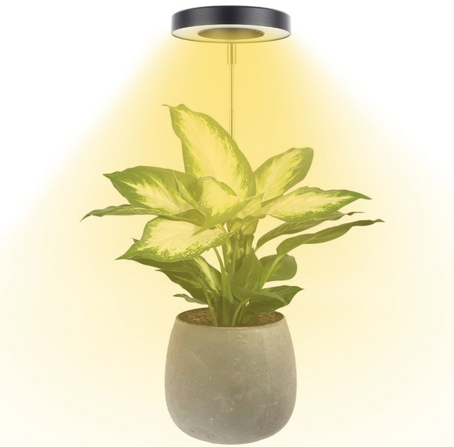 Future Goal 天使環植物生長燈 高度可調 定時功能, 1個, 黑色外觀暖白光-可定時-帶底座