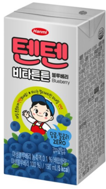 텐텐 비타튼튼 블루베리, 10개, 190ml