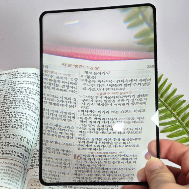 번쩍번쩍몰 독서 휴대용 확대경, 1개