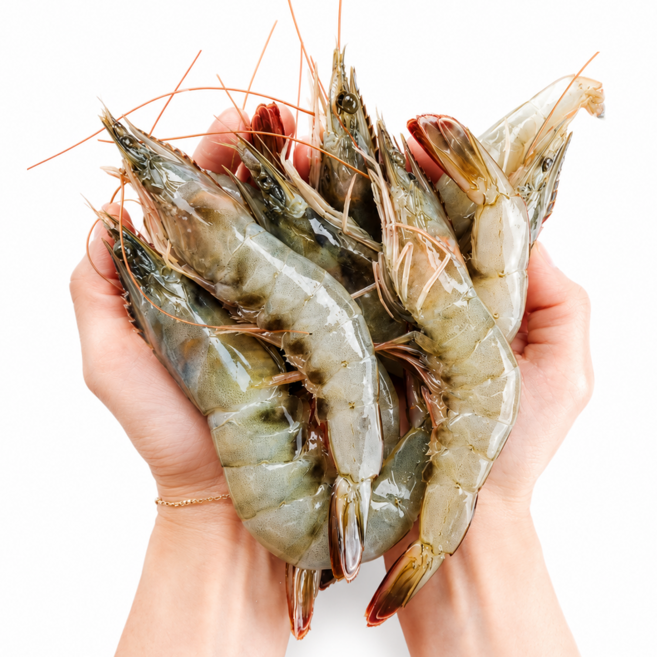 미자네농수산 흰다리새우, 1개, 1kg(33미내외)
