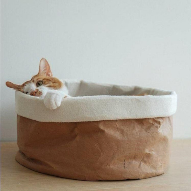 고양이방석 크라프트숨숨집 방수 고양이집 쿠션 펫하우스 반려묘 원형, 라지, 기본 (쿠션포함), 1개