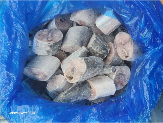 국내산 절단 고등어 조림용(10kg내외 22-28마리내외)(절단시 8g내외 머리꼬리제거 3-4등분절단), 1박스