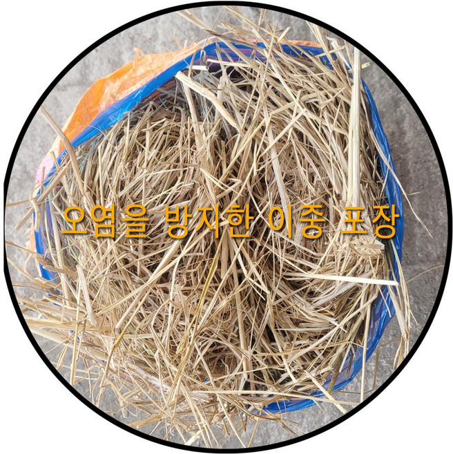 깨끗한 25년 2kg 햇 볏짚 지푸라기 반겨동물 길고양이 강아지집 보온재, 1개