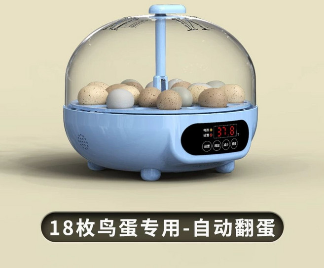부화용 오리알 계란 소형 습도 부화기 가정용 사파이어 달걀 병아리