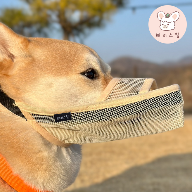 해리스힐 초경량 원버튼 메쉬 입마개 M, 1개, 모던베이지