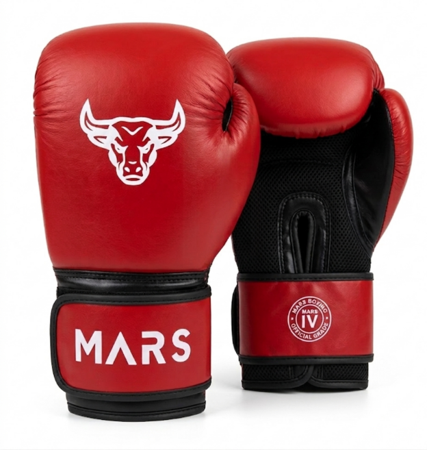 복싱 글러브 권투 스파링 남녀 공용, 1세트, 이그니스(레드)