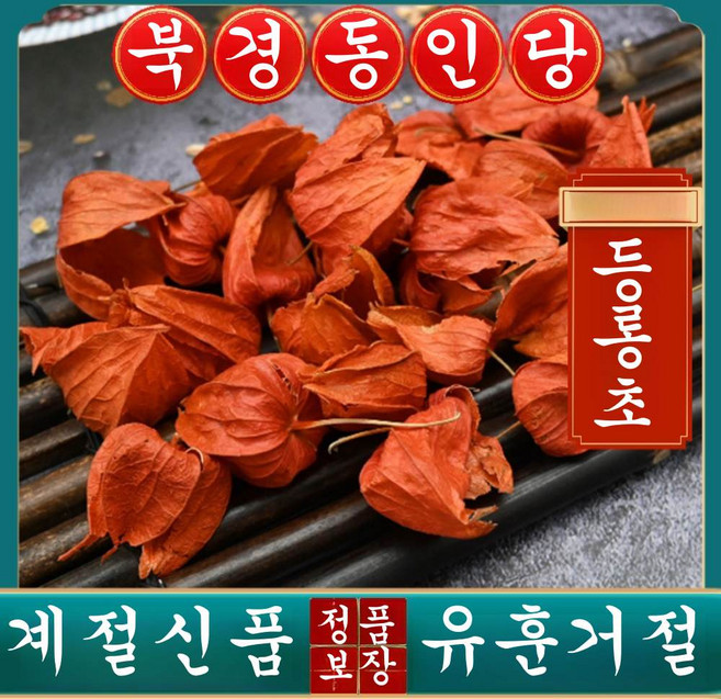 동인당 등로초 꽈리, 1개, 100g
