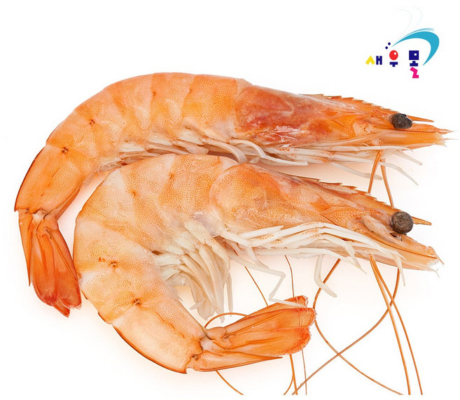 새우몰 화이트새우 왕새우 2kg 60-80미, 1개