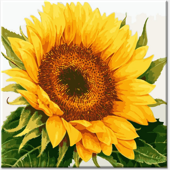 집콕순이 취미상품 피포페인팅 DIY그림그리기 명화그림그리기 행운과 복의상징 해바라기 size 40x50cm, 상세 설명 참조, 1개