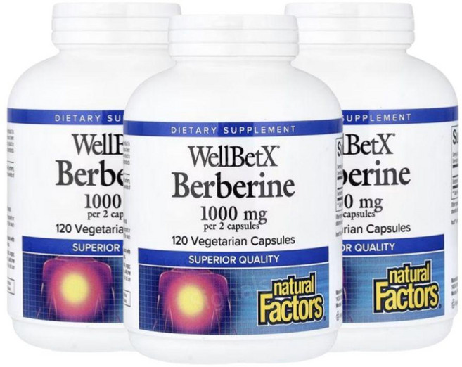 내추럴팩터스 베르베린 WellBetX Berberine 1000mg 120캡슐 3개 베리베린