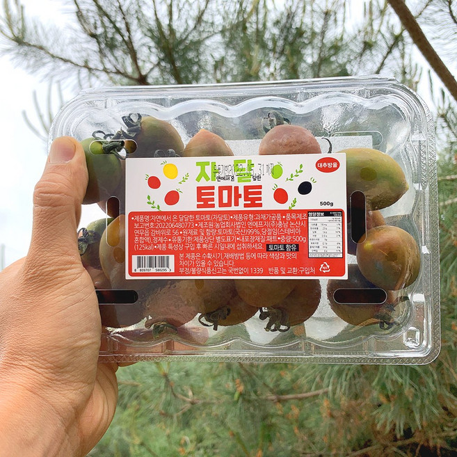 스테비아토마토 방울토마토 자달토마토 쿠마토 완숙, 특가1. 자달스테비아방울토마토 레드500g, 1개
