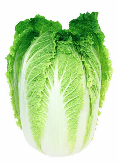 [굿피플] 통배추 배추 김장배추 국산통배추 포기배추, 1박스, 6.5kg